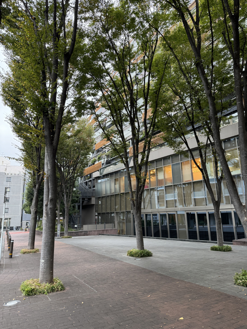 32206608_yVz0RPof_2416aedcaf23a17f8c645b28b6af0bc0ca8a0ab9.jpg 이미지크게보기